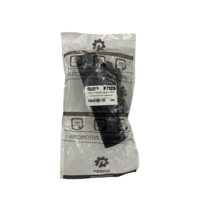 دستگیره در بیرونی راست خودرو پاسیکو مدل P2123 مناسب برای پژو 405 | گارانتی اصالت و سلامت فیزیکی کالا